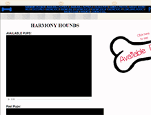 Tablet Screenshot of bassetpuppy.com